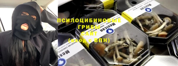 МДПВ Алексин