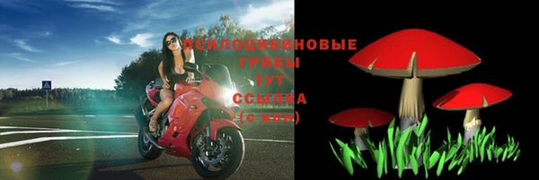 не бодяженный Алзамай