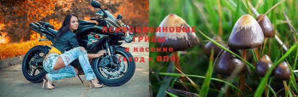 молекула духа Видное