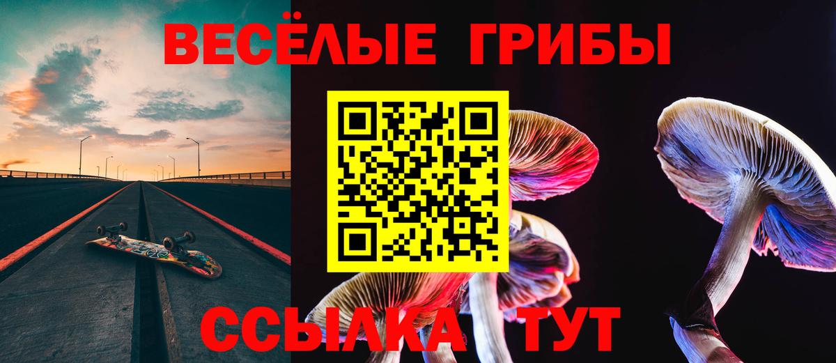 Большой Камень  Галлюциногенные грибы Cubensis  Вход с VPN  Псилоцибиновые грибы мицелий 
