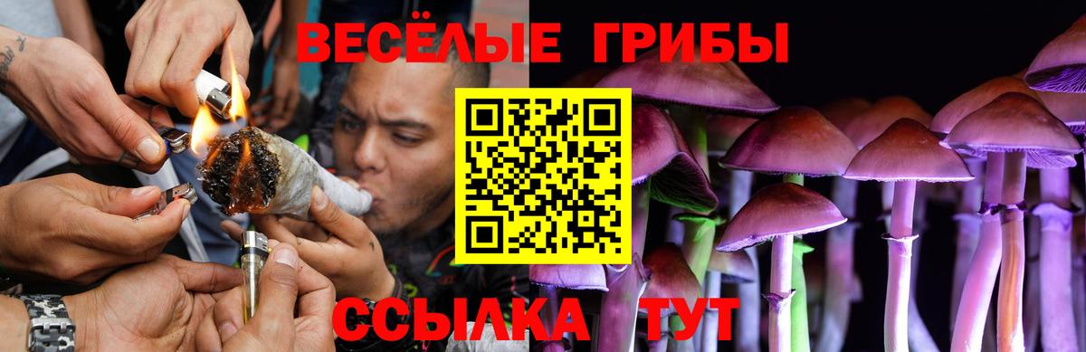 Псилоцибиновые грибы Magic Shrooms Большой Камень